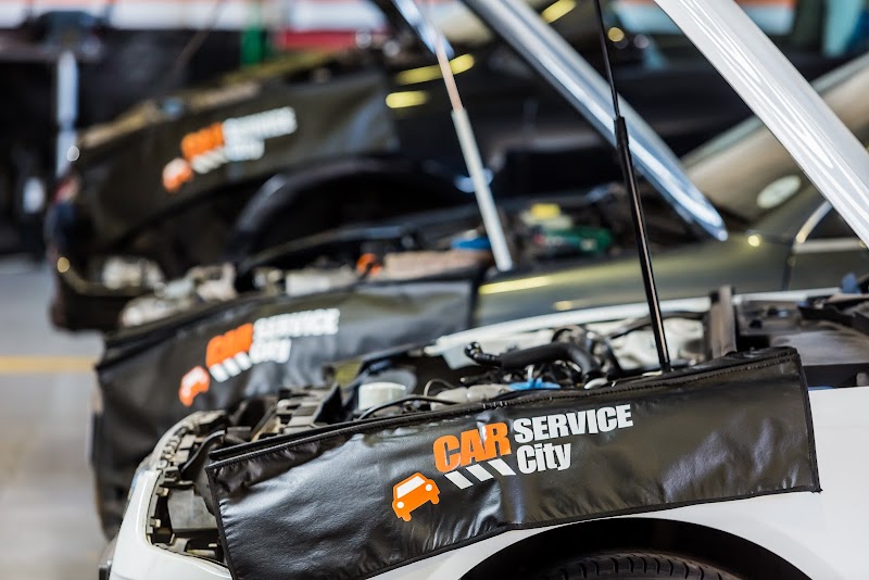 Car Service City Plettenberg Bay